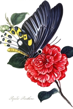 Googly Eye Butterfly Journal: 100-page blank lined journal featuring a vintage butterfly illustration with googly eyes