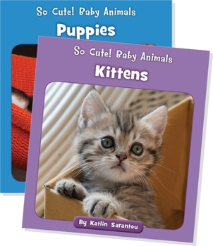 Paperback So Cute! Baby Animals (Set) Book