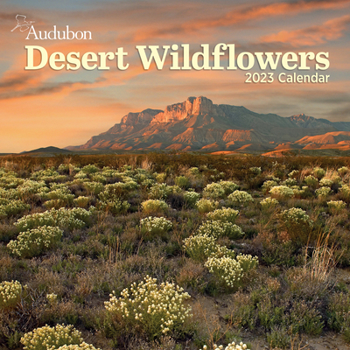 Calendar Audubon Desert Wildflowers Wall Calendar 2023: A Visual Delight for Nature Lovers and Gardeners Alike Book