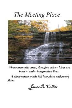 Paperback The Meeting Place Book