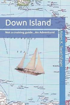 Paperback Down Island Book