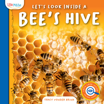 Hardcover Let's Look Inside a Bee's Hive Book