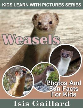 Paperback Weasels: Photos and Fun Facts for Kids (Kids Learn With Pictures) Book