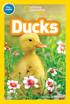 National Geographic Readers: Ducks - Book  of the National Geographic Readers: Pre-Readers