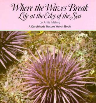 Hardcover Where the Waves Break: Life at the Edge of the Sea Book