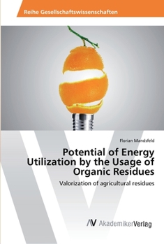Paperback Potential of Energy Utilization by the Usage of Organic Residues Book