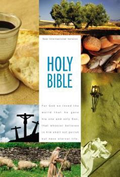 Hardcover Textbook Bible-NIV Book