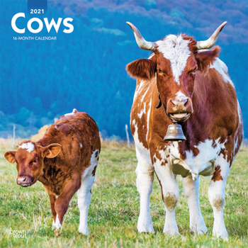 Calendar Cows 2021 Square Book