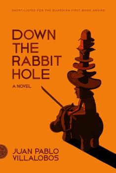 Paperback Down the Rabbit Hole Book