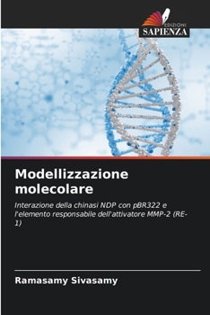 Paperback Modellizzazione molecolare [Italian] Book