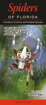 Pamphlet Spiders of Florida Book