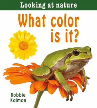 Paperback What Color Is It? Book