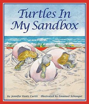Paperback Turtles in My Sandbox Book