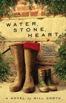 Paperback Water, Stone, Heart: A Novel Book