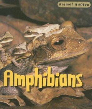 Library Binding Amphibians Book