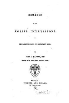 Remarks on Some Fossil Impressions
