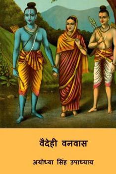 Paperback Vaidehi Vanvas ( Hindi Edition ) [Hindi] Book