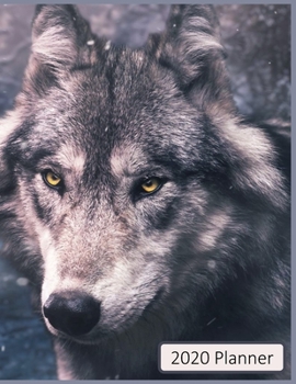 2020 Planner: Winter Theme Grey Wolf - Weekly Agenda - 2 Page Monthly Calendar Spread - Large 8 1/2" x 11" Soft Cover  - Monthly Goal Planning and End of Month Goal Review