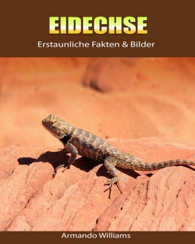 Paperback Eidechse: Erstaunliche Fakten & Bilder [German] Book