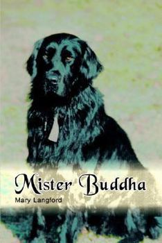 Hardcover Mister Buddha Book