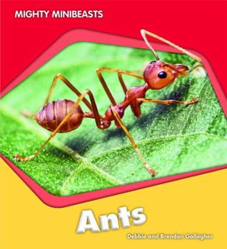 Library Binding Ants Book