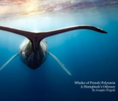 Hardcover Whales of French Polynesia Book