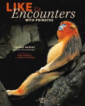 Hardcover Like Us: Encounters with Primates Book