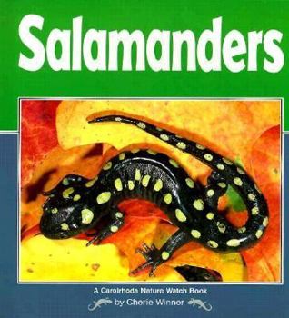 Hardcover Salamanders Book