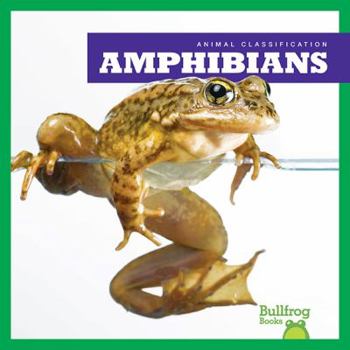 Library Binding Amphibians Book