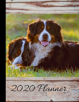 2020 Planner: Bernese Mountain Dog Cover - 2020 Weekly Planner Organizer Dated Calendar And ToDo List Tracker Notebook
