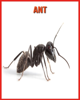 Paperback Ant: Amazing Facts about Ant Book