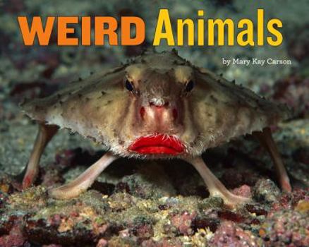 Hardcover Weird Animals Book