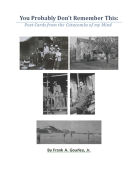 Paperback You Probably Don't Remember This: Post Cards from the Catacombs of My Mind Book