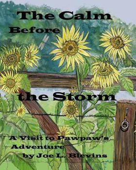 Paperback The Calm Before the Storm Book