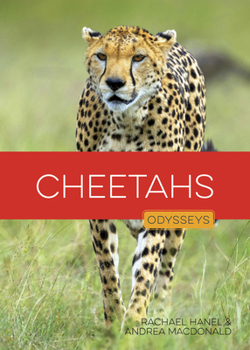 Paperback Cheetahs Book