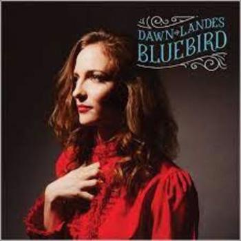 Vinyl Bluebird   10 Th Anniversary Edition Book