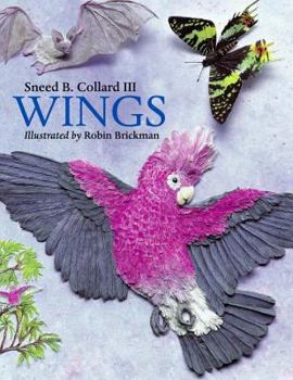 Paperback Wings Book