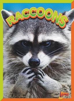 Paperback Raccoons Book