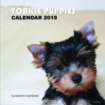 Paperback Yorkie Puppies Calendar 2019: 16 Month Calendar Book