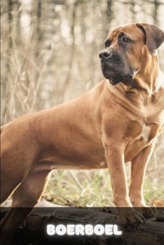 Paperback Boerboel: Complete breed guide Book