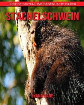 Stachelschwein: Lustige Fakten und sagenhafte Bilder