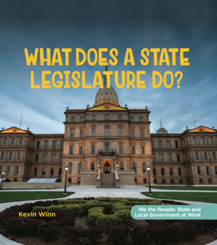 Library Binding What Does a State Legislature Do? Book