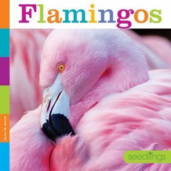 Flamingos - Book  of the Seedlings