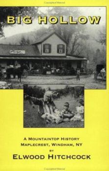 Paperback Big Hollow: A Mountaintop History Book