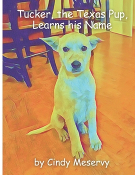 Paperback Tucker, the Texas Pup, Learns His Name Book
