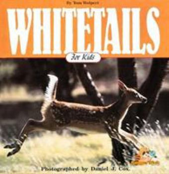 Paperback Whitetails for Kids Book