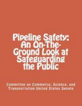 Paperback Pipeline Safety: An On-The-Ground Look at Safeguarding the Public Book