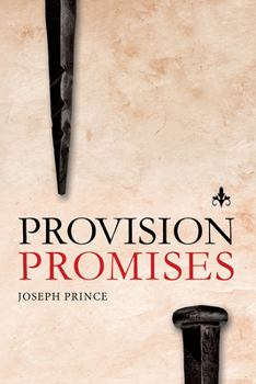 Paperback Provision Promises Book