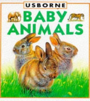 Hardcover Baby Animals Book