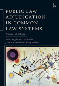 Paperback Public Law Adjudication in Common Law Systems: Process and Substance Book